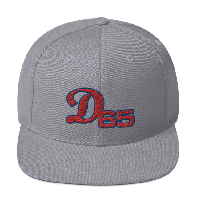 D65 Snapback Hat 2