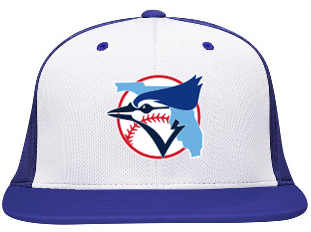 Toronto Blue Jays Hat Vintage Blue Jays Hat Toronto Blue 